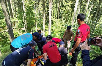 Kastamonu'da 8 gün önce kaybolan kadın baygın halde bulundu