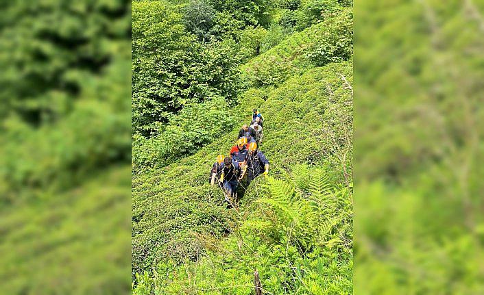 Rize'de kestiği ağacın altında kalan kişi yaralandı