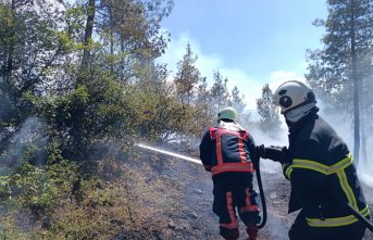 Tokat'ta ormanlık alanda çıkan yangın kontrol altına alınmaya çalışılıyor