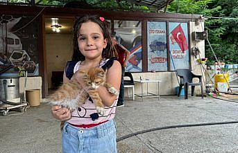 Artvin'de esnaf kalp masajıyla hayata döndürdüğü kedi yavrusuna iş yerinde bakıyor