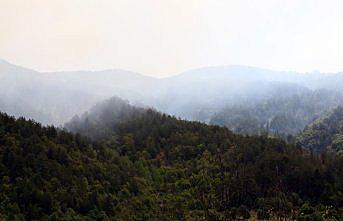 Kastamonu'da çıkan orman yangınına ekiplerin müdahalesi sürüyor