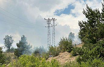 Kastamonu'da çıkan orman yangınına müdahale ediliyor