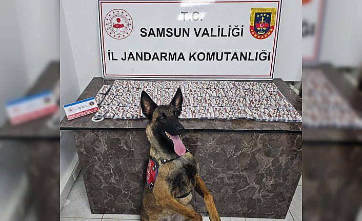 Samsun'da uyuşturucu operasyonunda 4 zanlı yakalandı