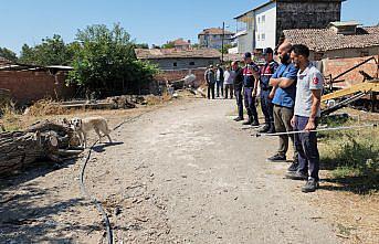 Amasya'da bağlandığı kamyonetin peşinde sürüklenen köpek tedaviye alındı