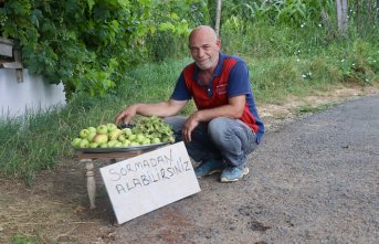 Bahçesinde yetiştirdiği ürünleri yoldan geçenlerle paylaşıyor