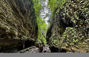 Cevizdibi Kanyonu doğal güzellikleriyle Karadeniz'de turizm rotalarından biri olmaya aday