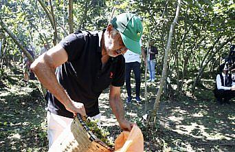 Giresun'da “Fındık Hasat Şenliği“ düzenlendi