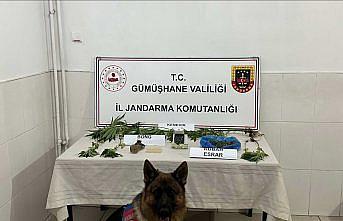 Gümüşhane'de hakkında yakalama kararı olan zanlı yakalandı