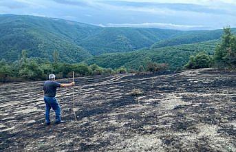 Karabük'te anız yangını söndürüldü