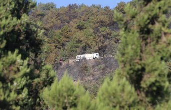 Tokat'ta çıkan orman yangını kontrol altına alındı