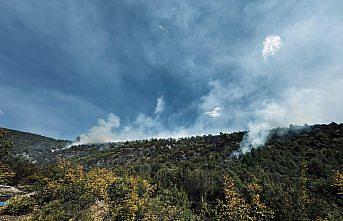 Tokat'ta ormanlık alanda çıkan yangına müdahale ediliyor