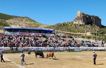 Ardanuç Kültür Sanat Festivali boğa güreşleriyle sona erdi