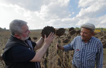 Çorum Belediyesi atıl arazilerde ihtiyaç sahibi aileler için üretim yapıyor