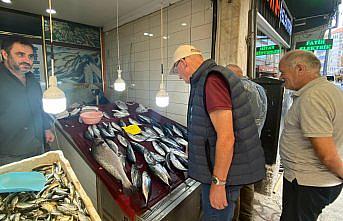 Sinop'ta 5,5 kilogramlık kötek balığı yakalandı