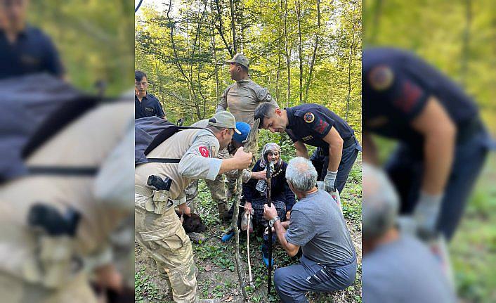 Sinop'ta mantar toplarken kaybolan kadın ormanda bulundu