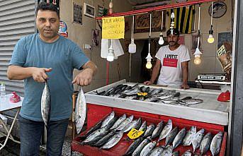 Zonguldak'ta deniz av sezonu palamut bereketiyle başladı