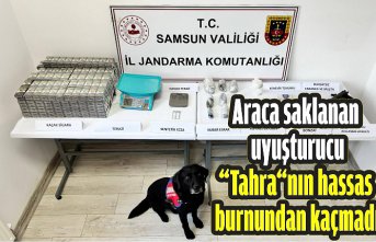 Araca saklanan uyuşturucu “Tahra“nın hassas burnundan kaçmadı