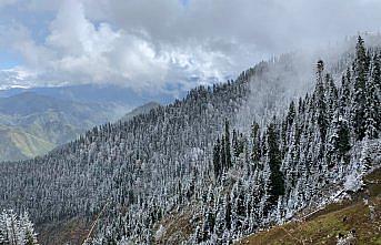 Artvin'de kardan kapanan köy yolları ulaşıma açıldı