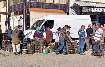 Sinop'ta ormanlarda doğal yetişen mantarların toplanmasına başlandı