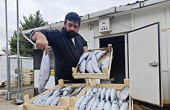 Yakakent'te 75 liradan satılan palamut ilgi gördü