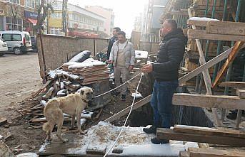 Amasya'da inşaata düşen köpek kurtarıldı