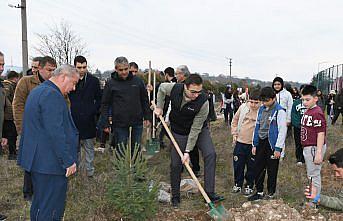 Bolu'da fidanlar toprakla buluştu