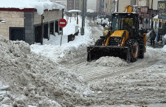 Doğu Karadeniz'de soğuk hava ve kar yaşamı olumsuz etkiliyor