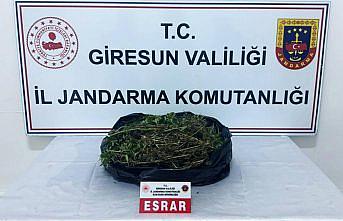 Giresun'da uyuşturucu operasyonunda bir kişi tutuklandı