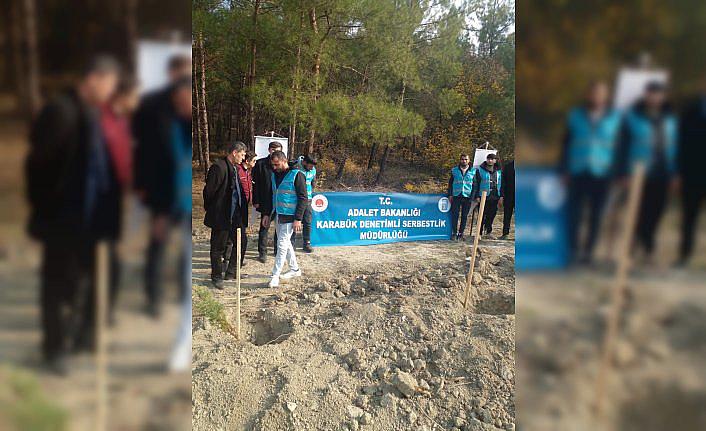 Karabük Denetimli Serbestlik Müdürlüğü 100 fidanı toprakla buluşturdu