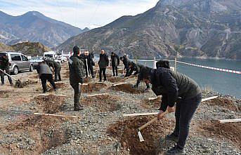 Orta ve Doğu Karadeniz'de fidanlar toprakla buluşturuldu