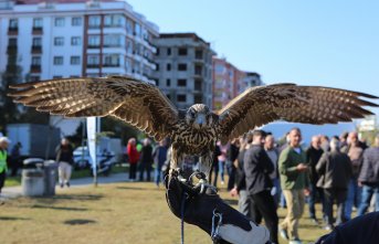 Rize'de atmaca güzellik ve beceri yarışması düzenlendi