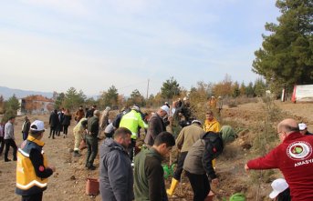 Taşova ve Hamamözü'nde Milli Ağaçlandırma Günü'nde fidan dikildi