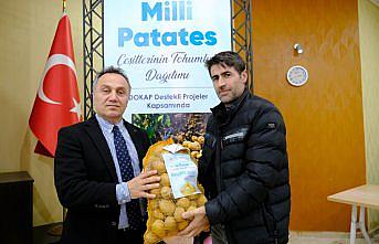 TOGÜ'de geliştirilen milli patates çeşitlerinin tohumlukları dağıtıldı