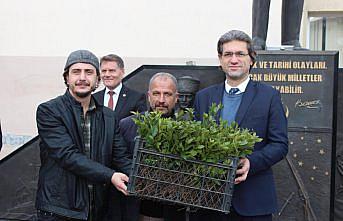 19 Mayıs ilçesinde vatandaşlara 5 bin defne fidanı dağıtıldı