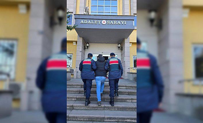 Artvin'de 6 firari yakalandı