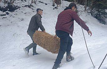 Bolu'da yaban hayvanları için doğaya yem bırakıldı