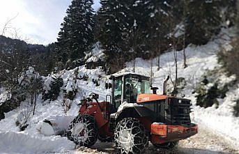 Doğu Karadeniz'de karla mücadele çalışmaları devam ediyor