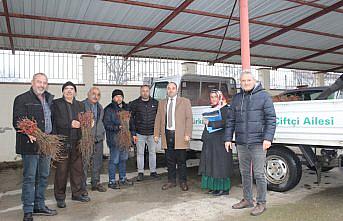 Pazar ilçesinde üreticilere asma ve ceviz fidanı dağıtıldı