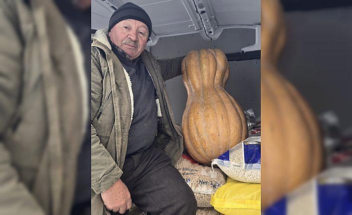 Sinop'ta yetiştirilen 55 kilogramlık bal kabağı pazarda satışa sunuldu