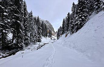 Anadolu'nun yüce dağı Ilgaz doğa tutkunlarını cezbediyor