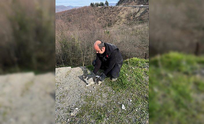 Düzce'de tırın dorsesine sıkışan kediyi itfaiye kurtardı