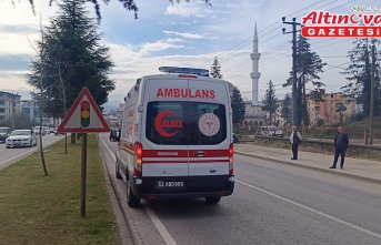 Ordu'daki trafik kazasında 3 kişi yaralandı