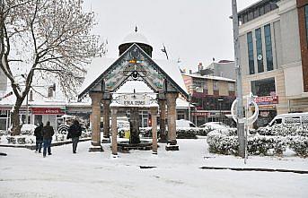 Doğu Karadeniz'de kar yağışı etkili oldu