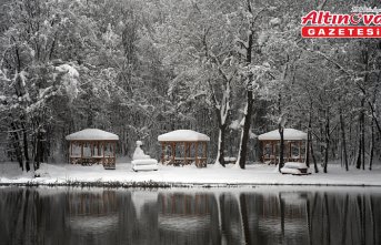 Düzce'de Korugöl Tabiat Parkı karla kaplandı