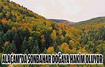 Alaçam'da sonbahar doğaya hakim oluyor