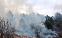 Karabük'te çıkan örtü yangını söndürüldü