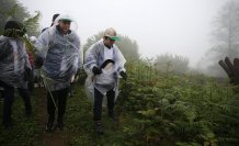 Rize'de “Orman Benim“ kampanyası düzenlendi