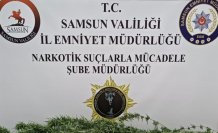 Samsun'da uyuşturucu operasyonu