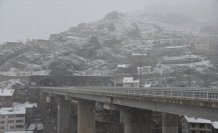 Gümüşhane ve Giresun'da kar yağışı