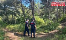 Gerze'de jandarma orman yangınlarına karşı teyakkuzda